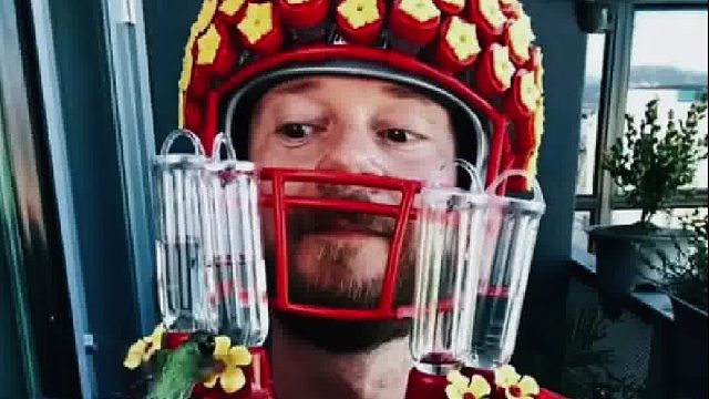 国外大叔救了一只被蛛网困住的小蜂鸟，此后大叔每天都会精心打扮等待小蜂鸟的到来！