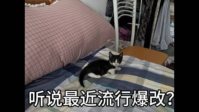 爆改-小时候vs长大后