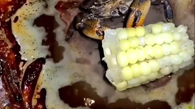 我的荤菜在吃我的素菜