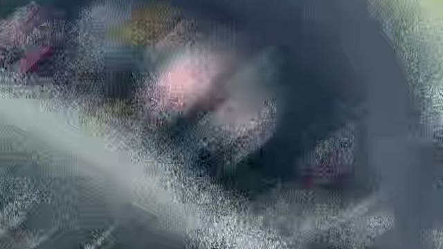 生活不止眼前的苟且 还有诗和远方