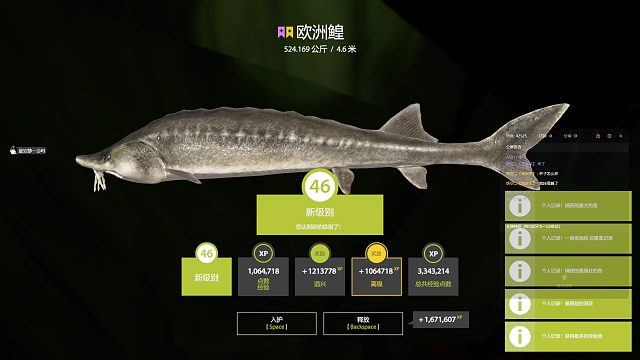 純情炸輪 萌新第一次拉星鰉，圓夢(mèng)成功