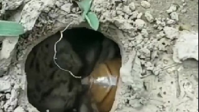 拉你一把的不一定是恩人