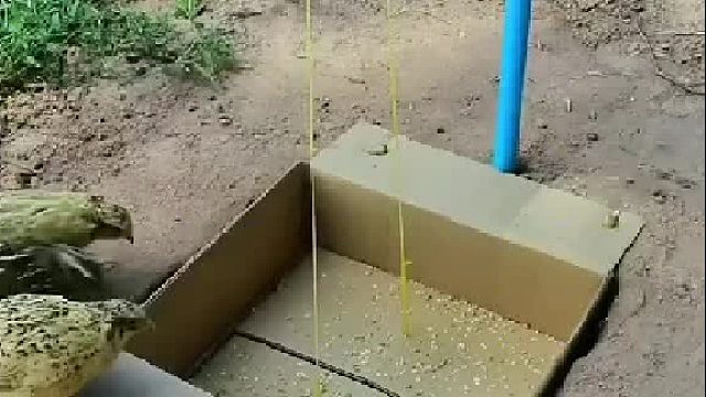 在下面的就不能喊一声，上面的兄弟不能吃了，有诈[灵光一闪]