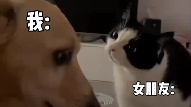 主打的就是一个真实