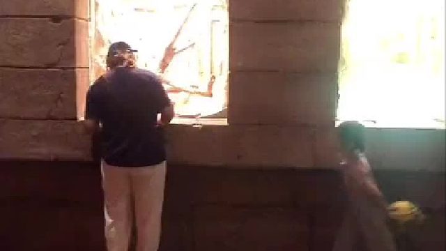 动物大世界，大长眼界了他