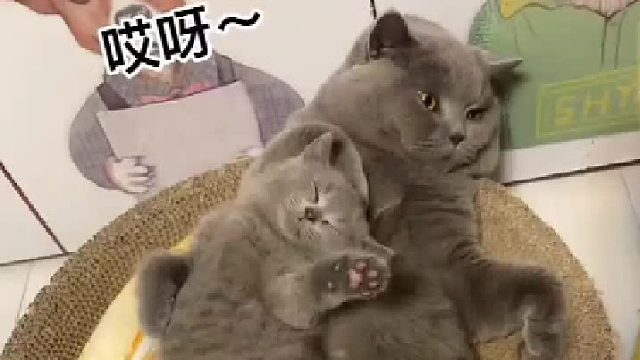 咕噜打的是真漂亮