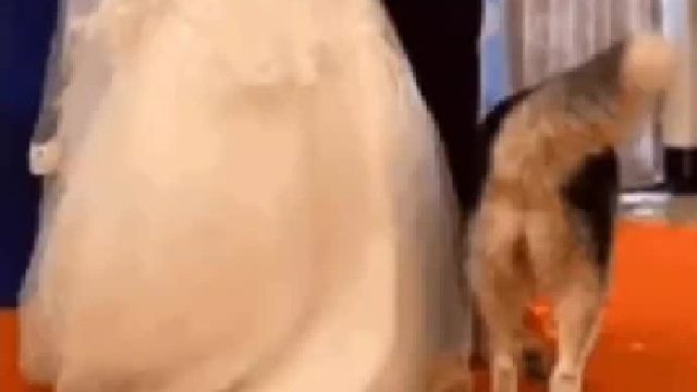 还的是你呀，打小看你小子行