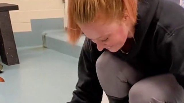 一位有“脾气”的企鹅画家：快夸夸我摸摸我，不然我不画了！