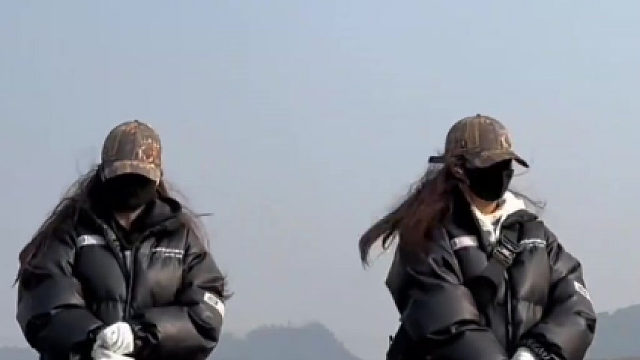 到底哪个科目最受欢迎青海摇