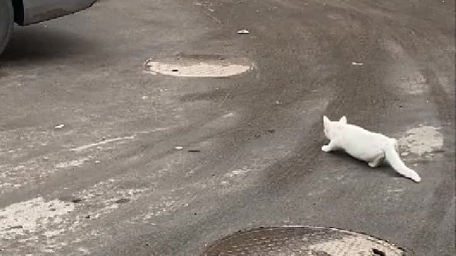 目标出现，稳准狠