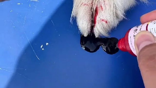 人间烟火气，全得靠演技，学费了没