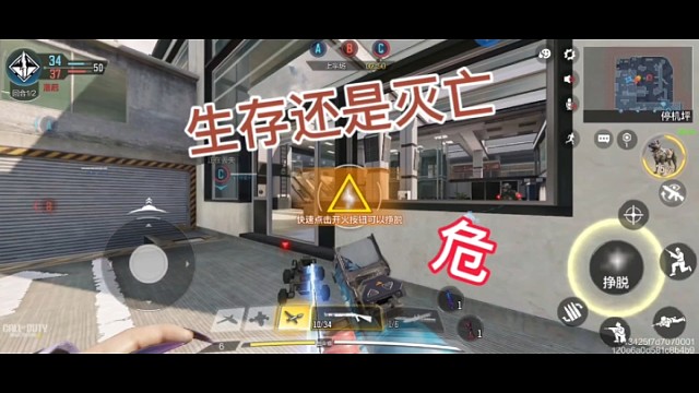 当两个电机小车找到了对方的主人会发生什么?