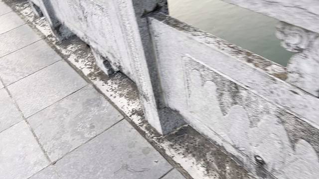 今天不看喵 看风景