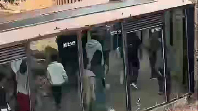 云南野生动物园，人在下面走，老虎在上面看