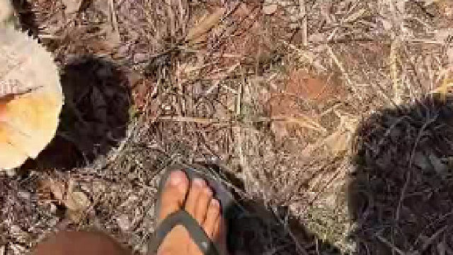 这是什么动物，怪怪的……