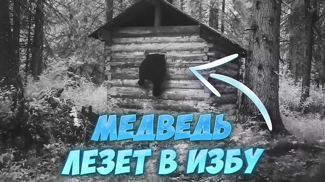 退伍老兵常年断网独居深山老林，遭遇惊险时刻，木屋被黑熊偷袭