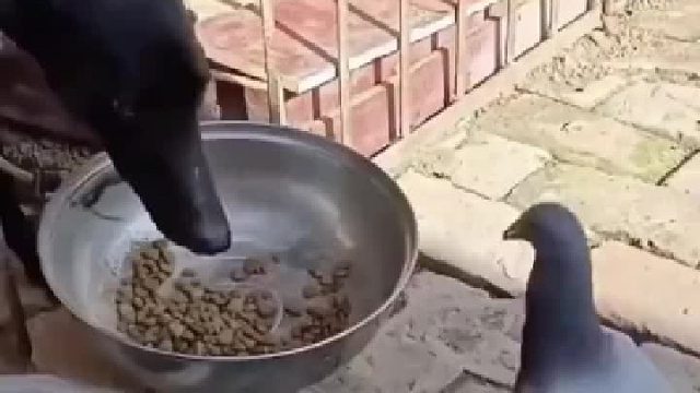 你惦记着别人的利息，别人惦记着你的本金。