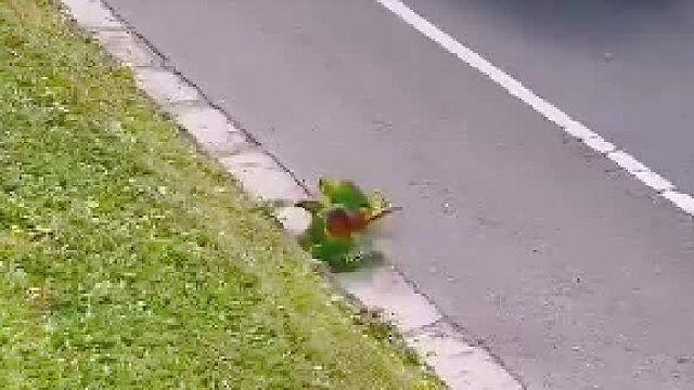 这是两个家庭的战争吧