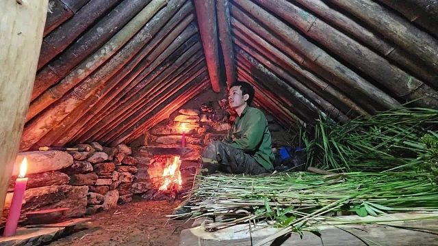 挑战雨林求生21天，巧妙设计地下避难所，周围猛兽环绕也无所畏惧