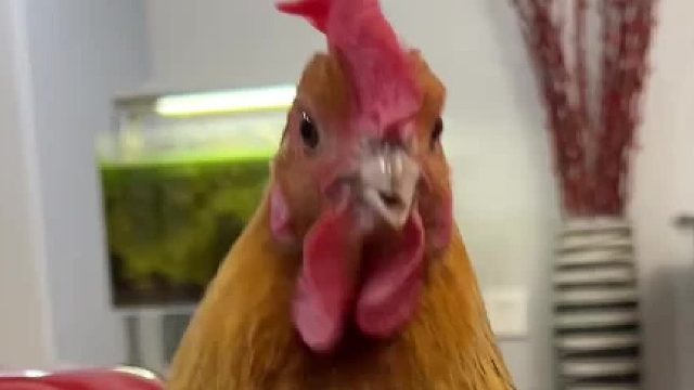 这东西谁寻思的呢