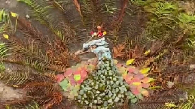 艺术来源于生活！男子用废旧物和落叶拼出孔雀开屏