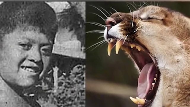 狼为什么不吃掉人类弃婴，反而将它抚养长大，需要满足3个条件03