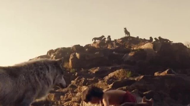 狼为什么不吃掉人类弃婴，反而将它抚养长大，需要满足3个条件02