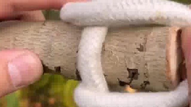 用绳子做个软梯，生活小妙招