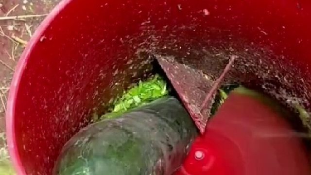 没有感情的瓜果蔬菜粉碎机