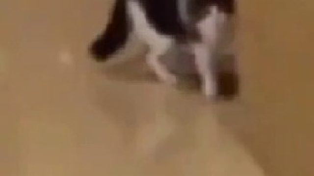 孩子背着你找别的爸爸妈妈咯，不要你咯