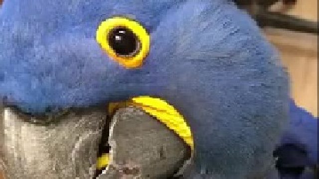 这也太好看了吧