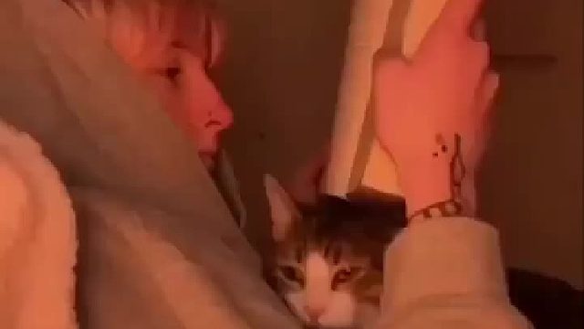 这也太可爱了吧