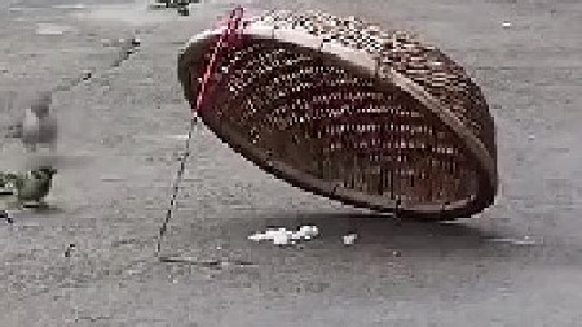 这一幕，让人受用一辈子。在危险面前，有一种美好的力量，人们称之为：爱。