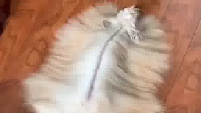 这发量，羡慕了