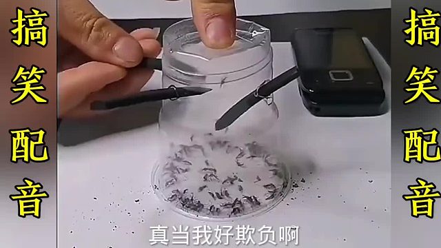 搞笑配音：一个比一个搞笑 这简直就是翻译