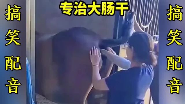 搞笑配音：一个比一个搞笑 这简直就是翻译