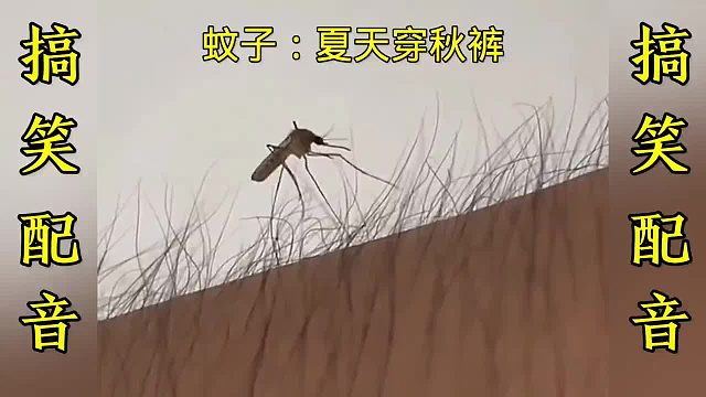 搞笑配音：一个比一个搞笑 这简直就是翻译