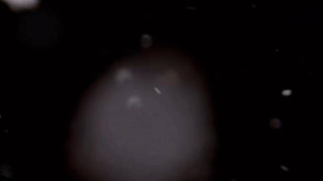 最遗憾的就是隔着屏幕认识你 然后隔着屏幕失去你