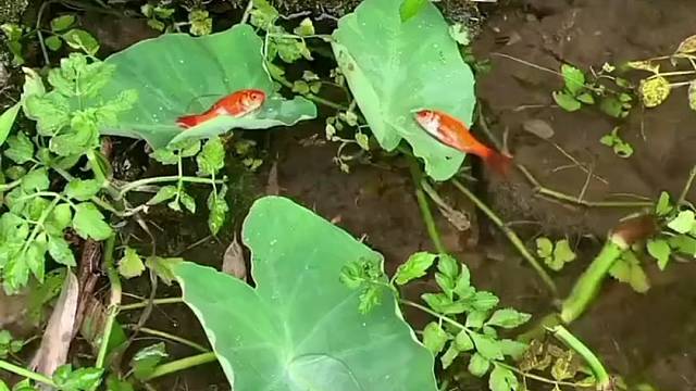 发现有意外收获