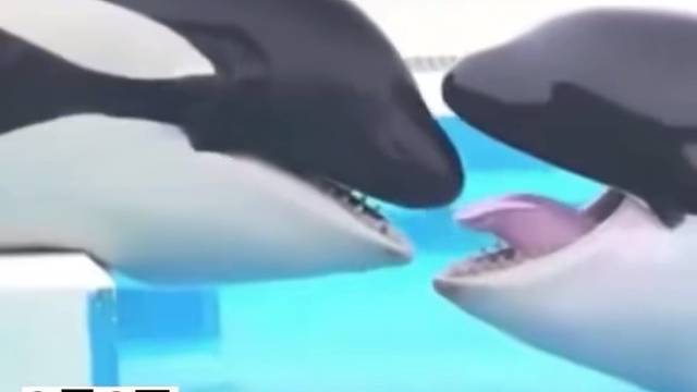 找点恋爱的感觉