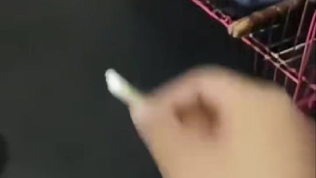 好聪明的鹦鹉，还会自己关门