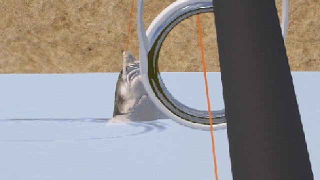 喜闻乐见 牛马欧鳇