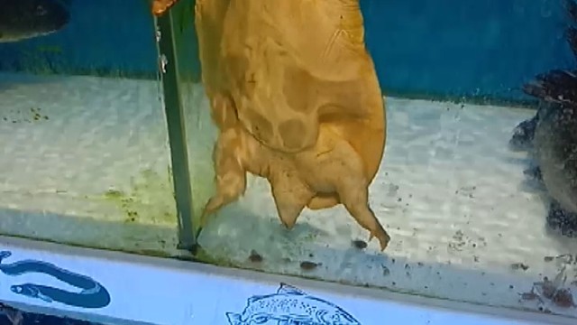 别烦我，我想透透气。