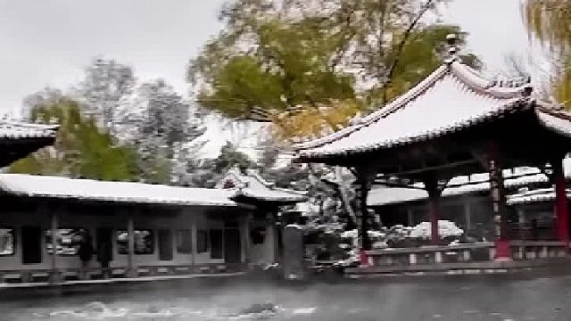 “云雾润蒸华不注”美景再现。水面云雾润蒸，水下晶莹剔透