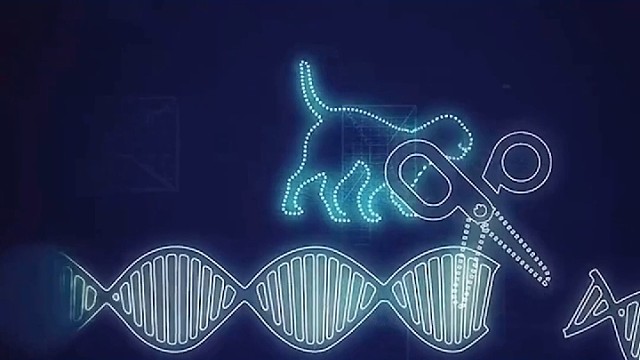 特发性震颤是遗传病吗？