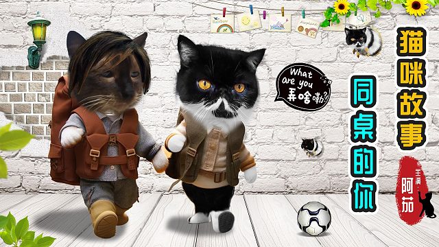 猫咪的同桌同学，青葱的喵喵课堂