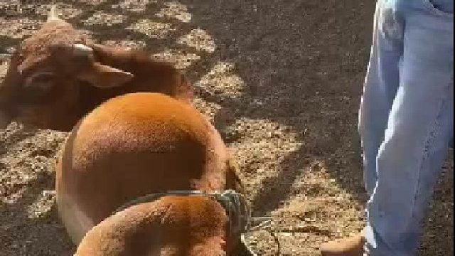 次拿个锋利一点的吧