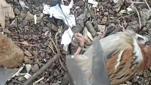 跟谁学的真会装