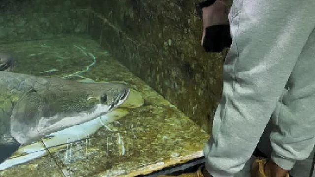 老弟，我已经汗流浃背了