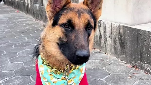 一个还没有预热 一个发动机已冒烟